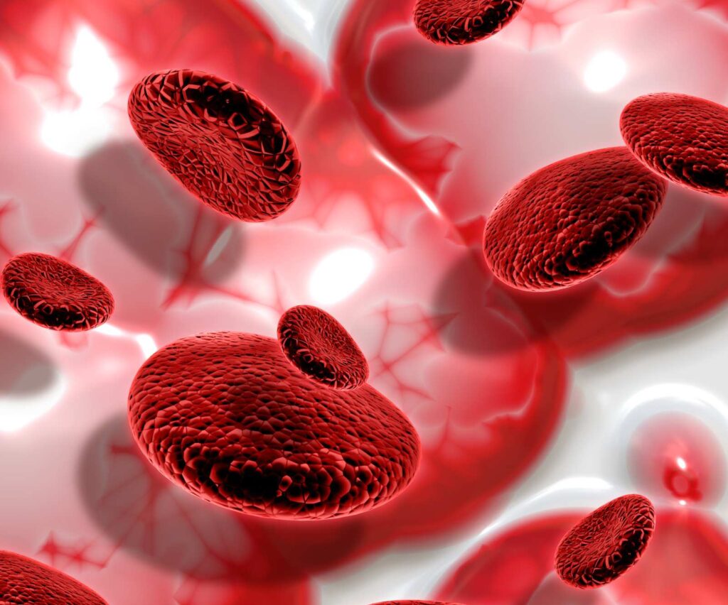 αιμοπετάλια στο μικροσκόπιο μικροβιολόγου