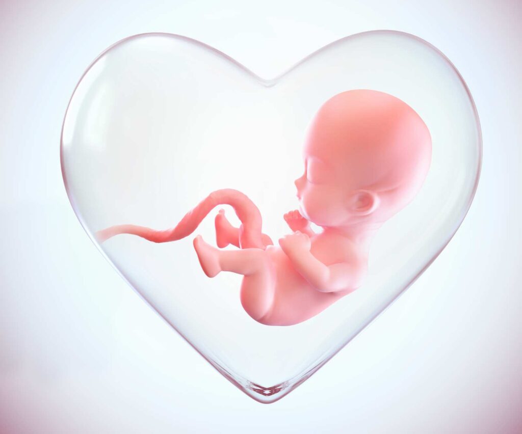 Έμβρυο στον αμνιακό σάκο